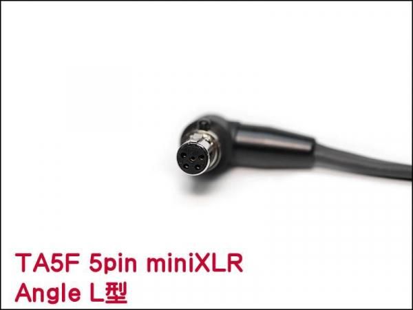 WISYCOM 5pin Receiver TA5F XLR レシーバー 変換ケーブル
